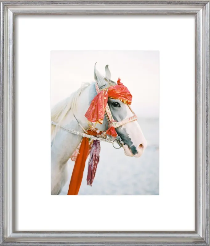 Marwari by Andrew Jacona for Artfully Walls