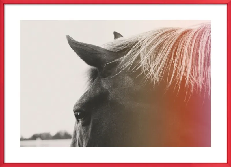 Pink Pony by Alicia Bock for Artfully Walls
