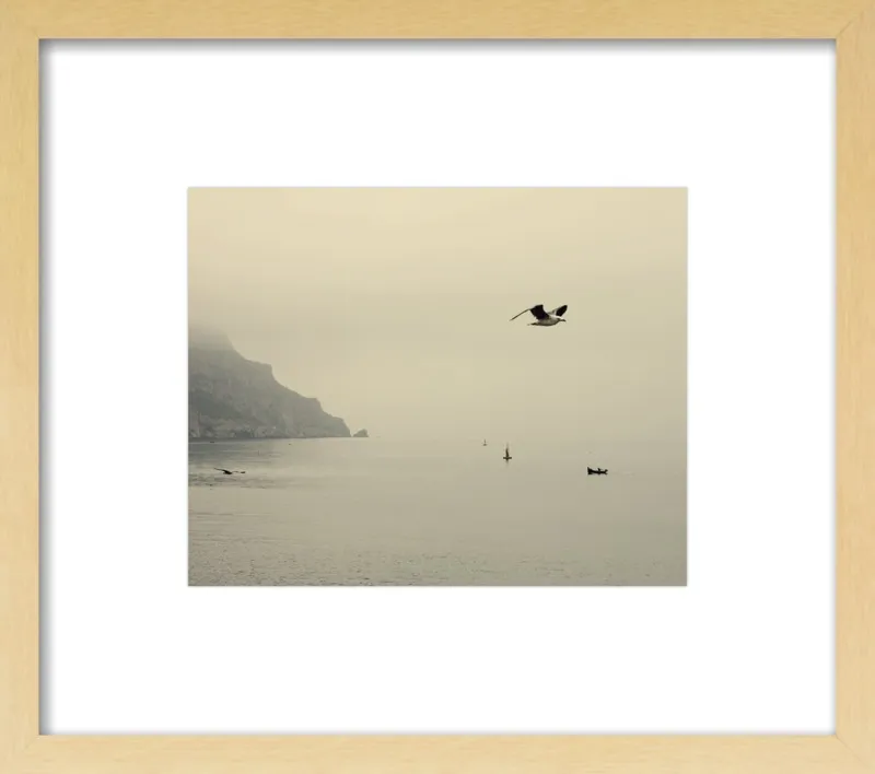 one day I will fly away by Ingrid Beddoes for Artfully Walls
