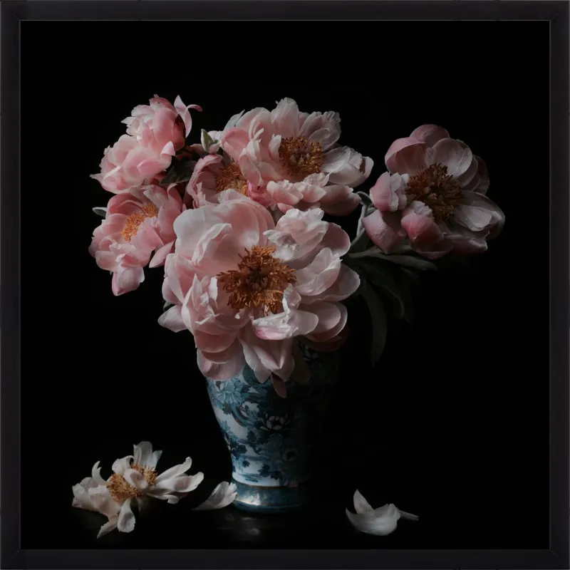 Pink Peonies  by Lucy Snowe for Artfully Walls
