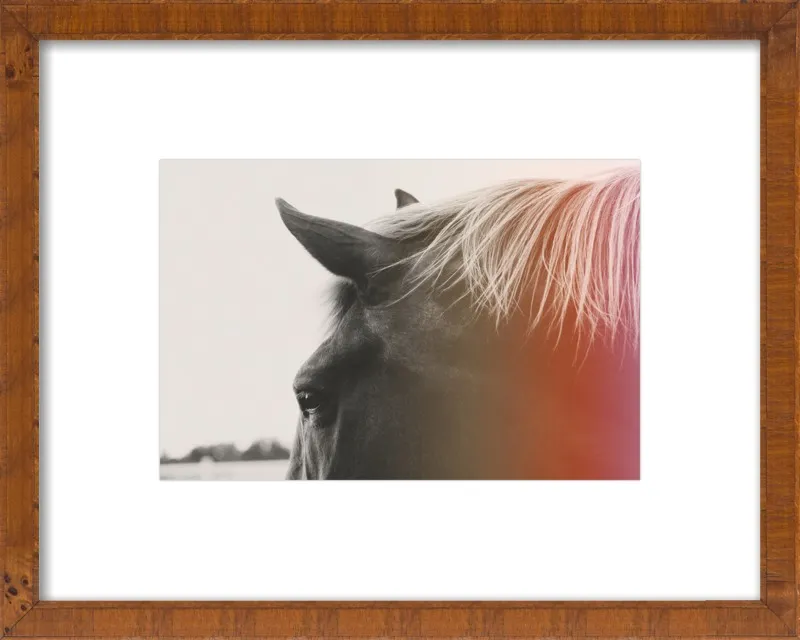 Pink Pony by Alicia Bock for Artfully Walls
