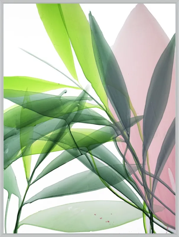 Tropical Study no. 15 by Marina Dunbar  for Artfully Walls