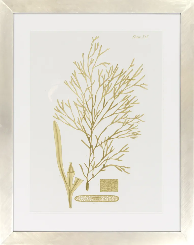 Surya Wall Decor LJ-4009 40"H x 32"W Framed Art