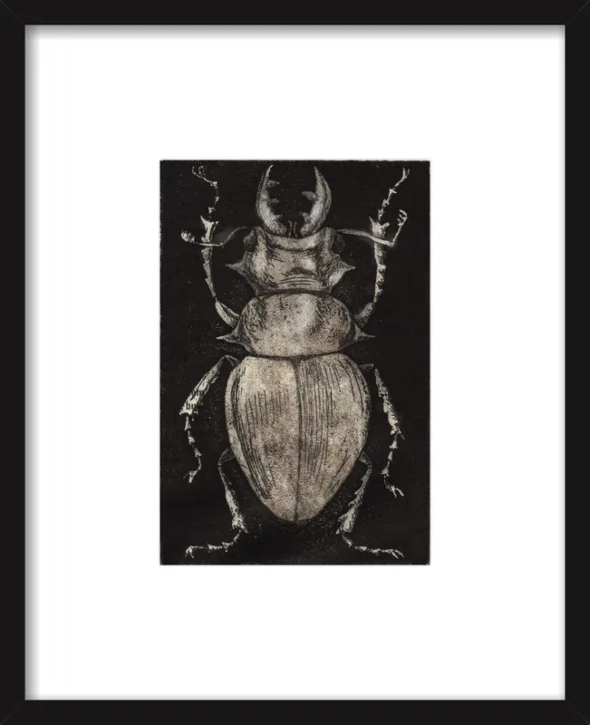 Grey Beetle on Black by Tennopent Sooster for Artfully Walls