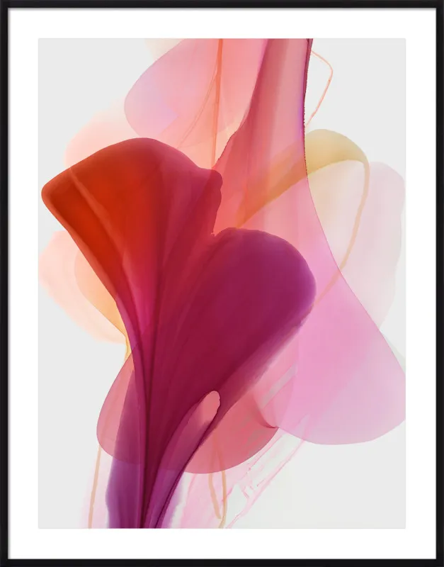 Abstract Flora Bloomlands 33 by Marta Spendowska for Artfully Walls