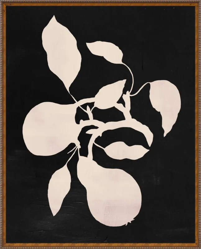 pears black and white by Ruti Shaashua for Artfully Walls
