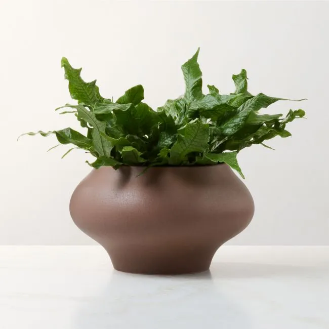 Samia Brown Ceramic Textured Glazed Indoor/Outdoor Small Planter Bowl 7.75"H