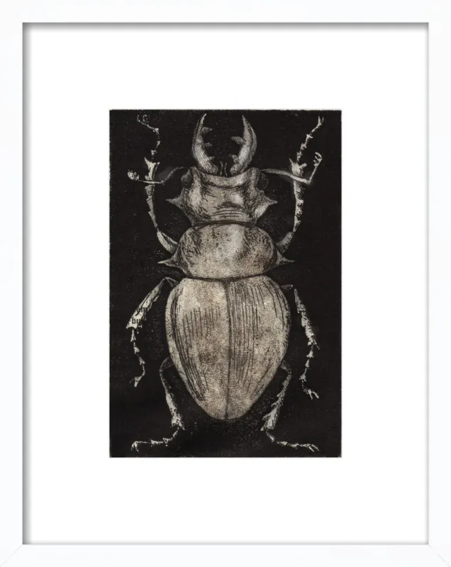 Grey Beetle on Black by Tennopent Sooster for Artfully Walls