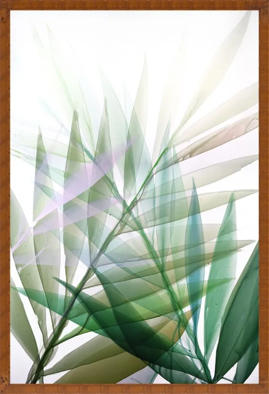 Tropical Study no. 8 by Marina Dunbar  for Artfully Walls