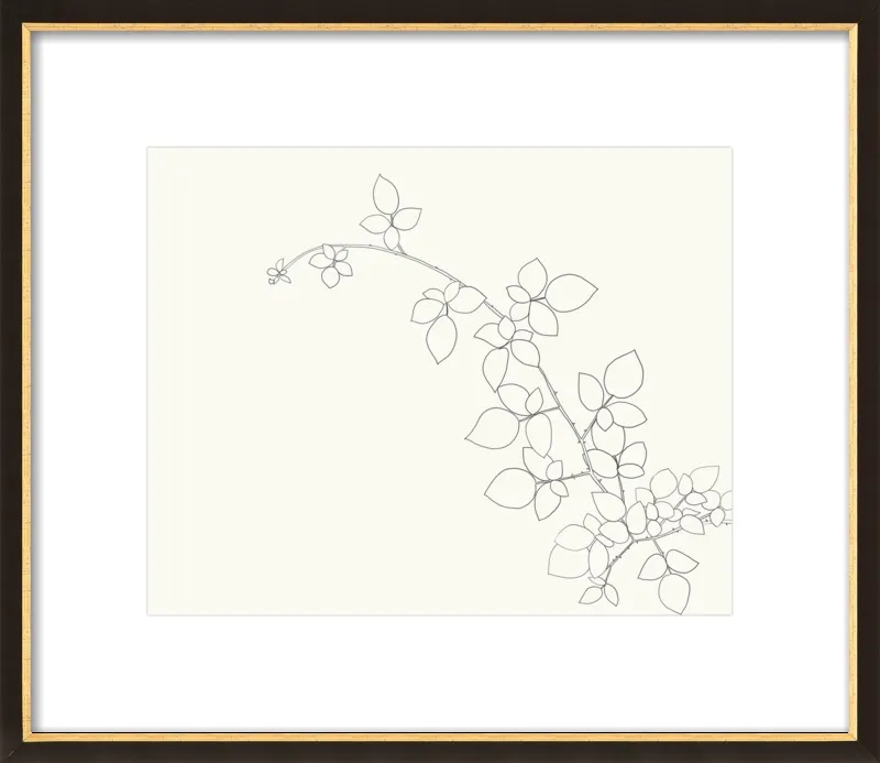 Blackberry  by Jorey Hurley for Artfully Walls