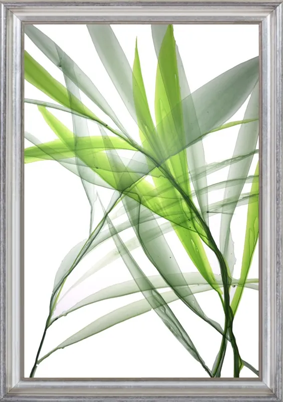Tropical Study no. 3 by Marina Dunbar  for Artfully Walls