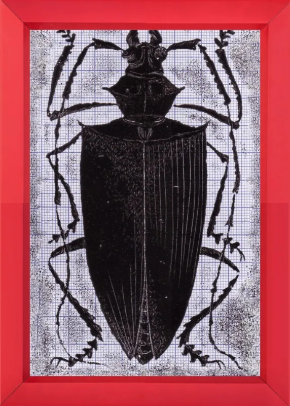 Black Beetle on Grey by Tennopent Sooster for Artfully Walls