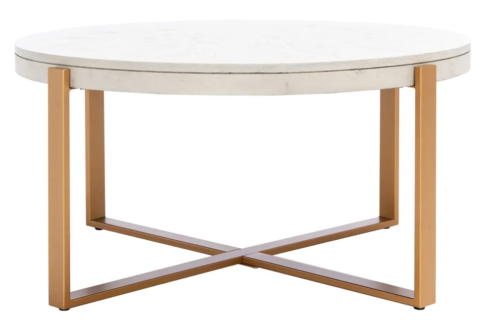 Navya Round Coffee Table - White Washed / Gold
