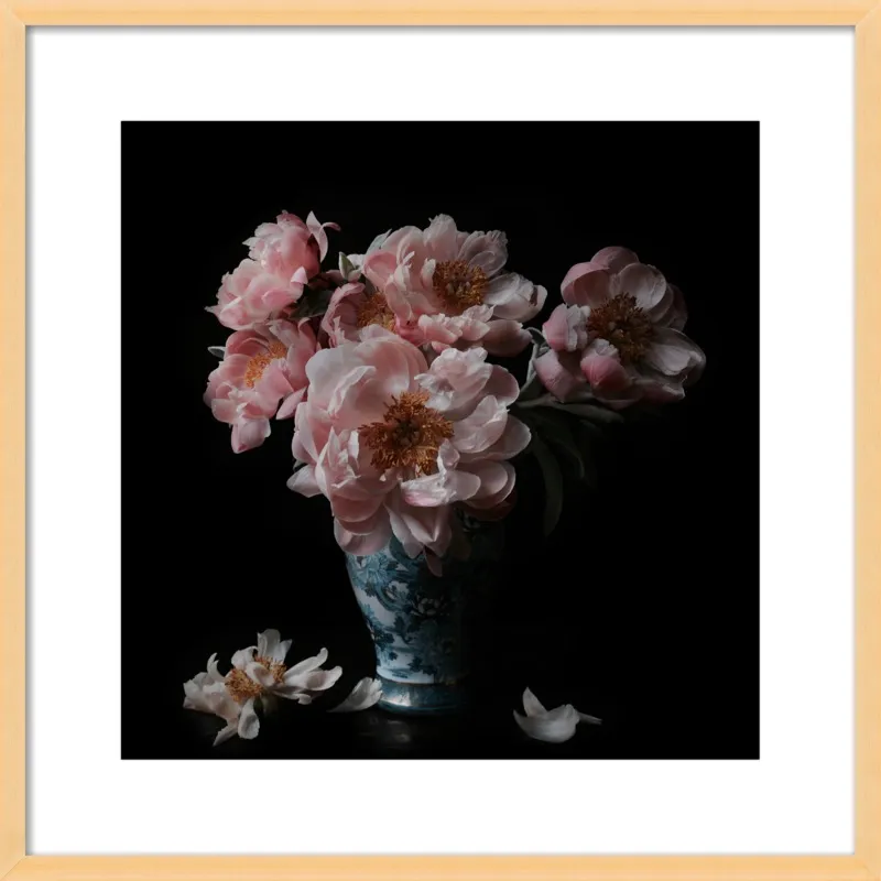 Pink Peonies  by Lucy Snowe for Artfully Walls