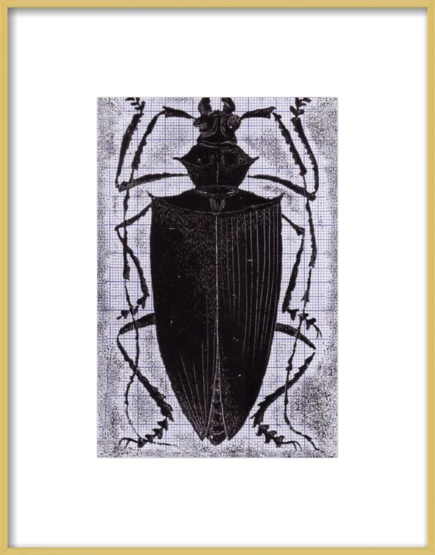 Black Beetle on Grey by Tennopent Sooster for Artfully Walls