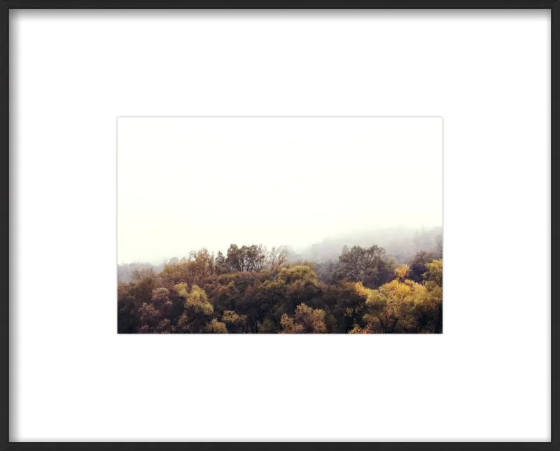 Autumn Afternoons by Hope Bainbridge  for Artfully Walls