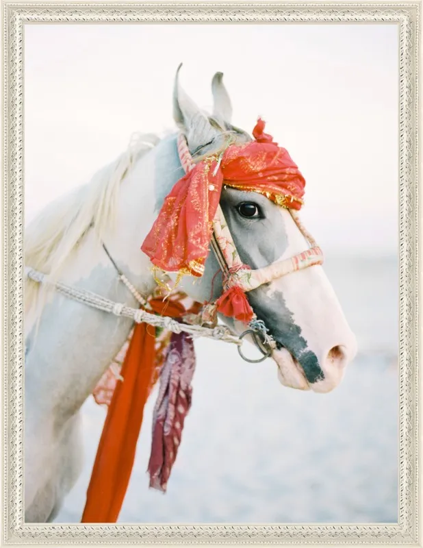 Marwari by Andrew Jacona for Artfully Walls
