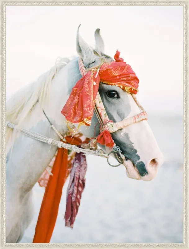 Marwari by Andrew Jacona for Artfully Walls