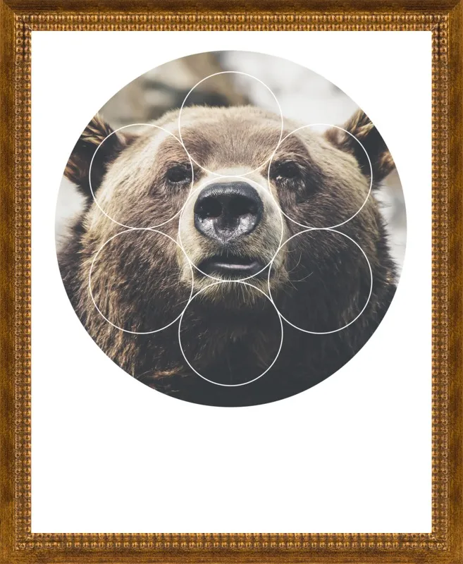 Big Bear Buddy - Geometric Photography by Emiliano Deificus for Artfully Walls