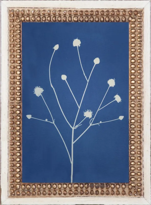 the art of cyanotype by Yaniv Alon for Artfully Walls