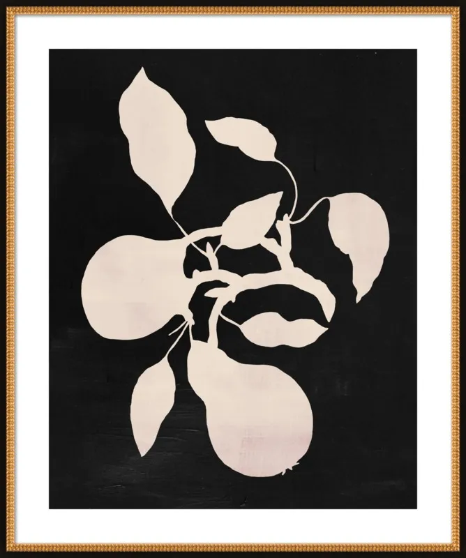 pears black and white by Ruti Shaashua for Artfully Walls