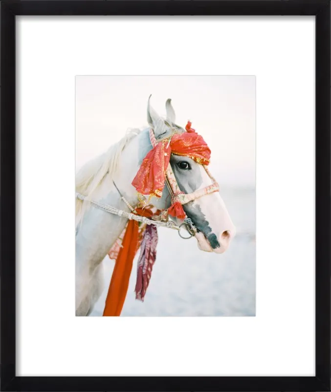 Marwari by Andrew Jacona for Artfully Walls