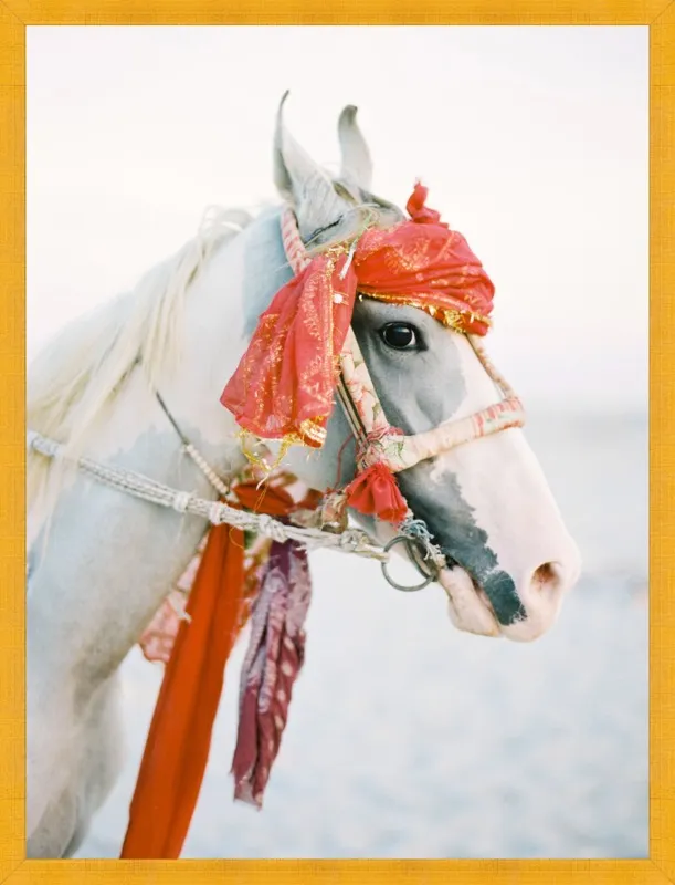 Marwari by Andrew Jacona for Artfully Walls