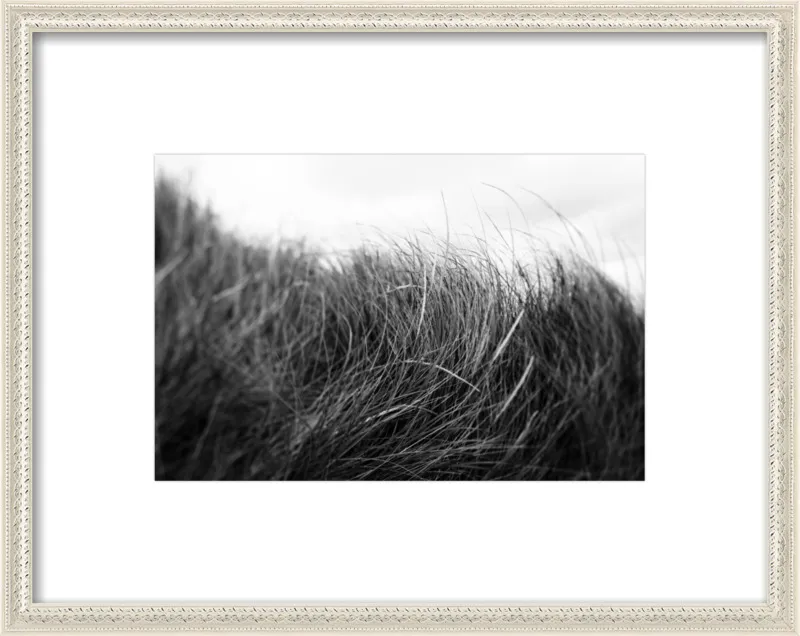 Beach Grass #3 by Alicia Bock for Artfully Walls