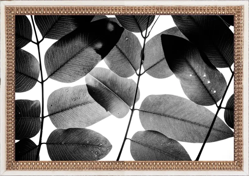 "Experiments with Leaves 2015 1" by Tal Paz-Fridman for Artfully Walls