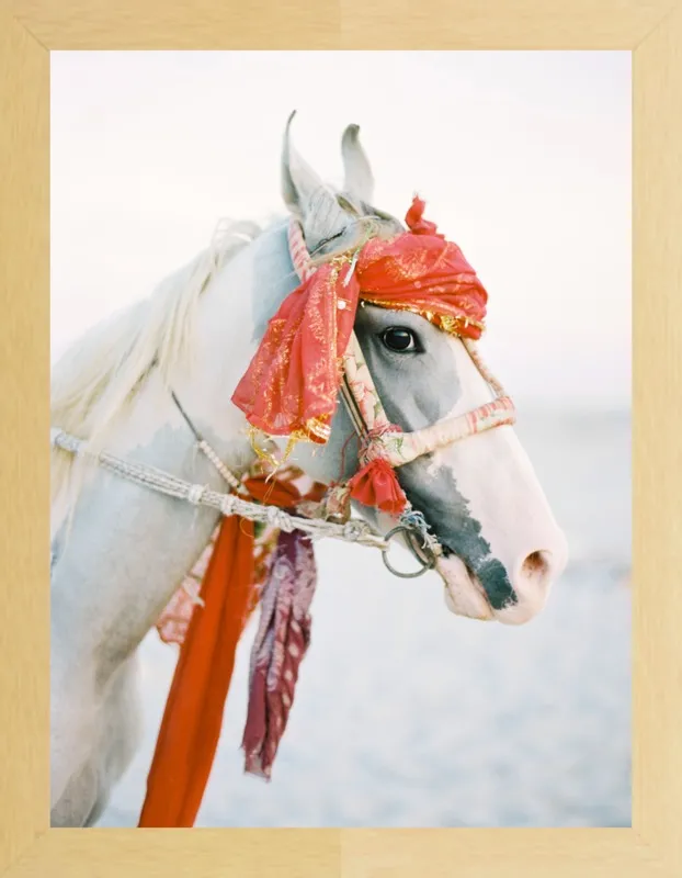 Marwari by Andrew Jacona for Artfully Walls