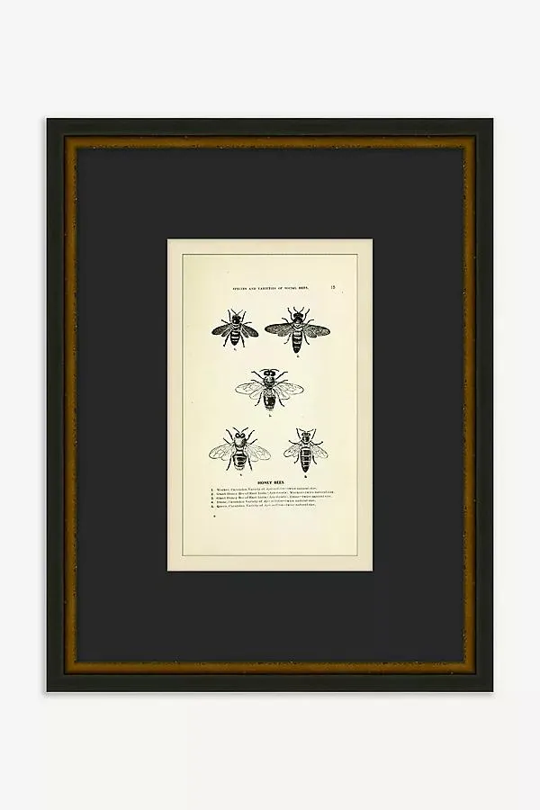 Bee's Knees Wall Art