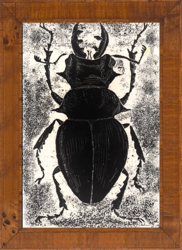 Black Beetle on White by Tennopent Sooster for Artfully Walls