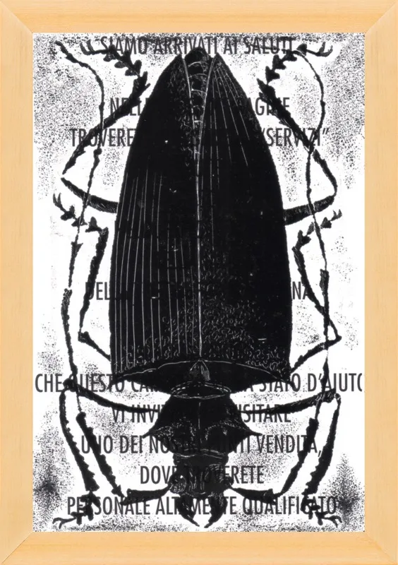 Black Beetle on Words by Tennopent Sooster for Artfully Walls
