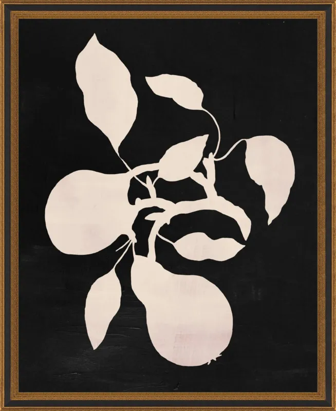 pears black and white by Ruti Shaashua for Artfully Walls