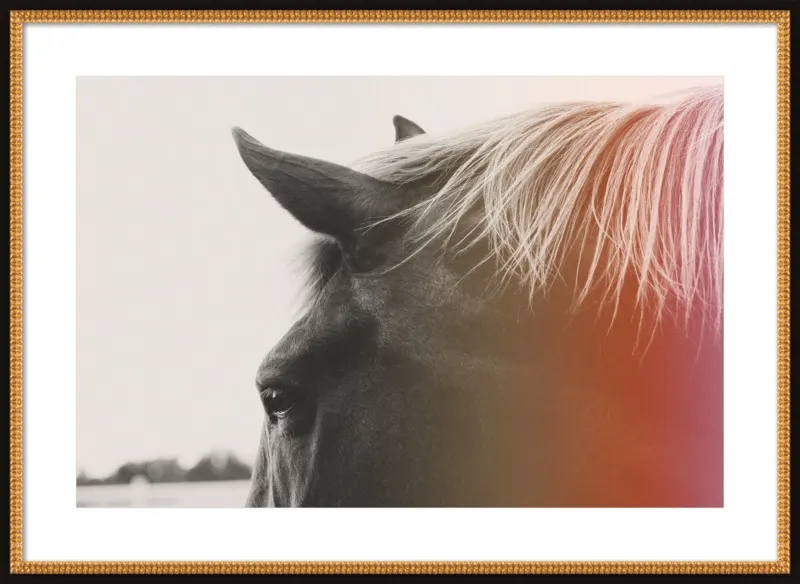 Pink Pony by Alicia Bock for Artfully Walls