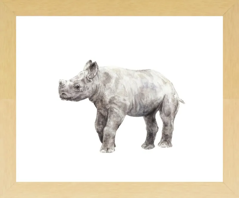 Baby Rhino Watercolor by Lauren Rogoff for Artfully Walls