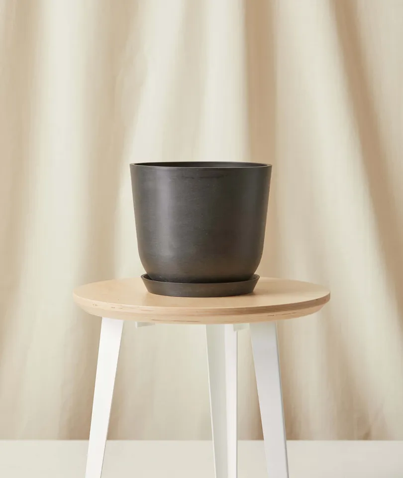 Ecopots Bell Pot - Medium (10") -  Charcoal