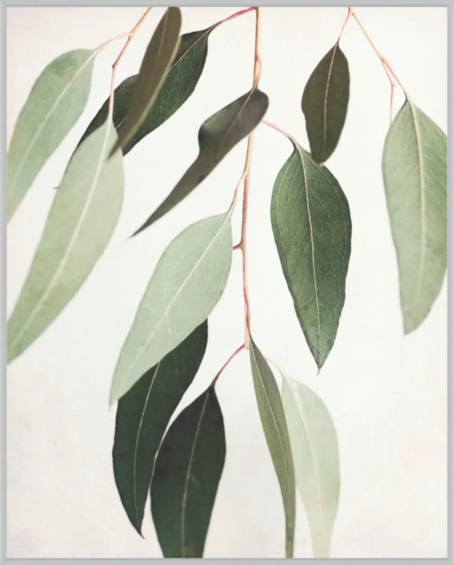 Eucalyptus Spring Three by Lupen Grainne for Artfully Walls