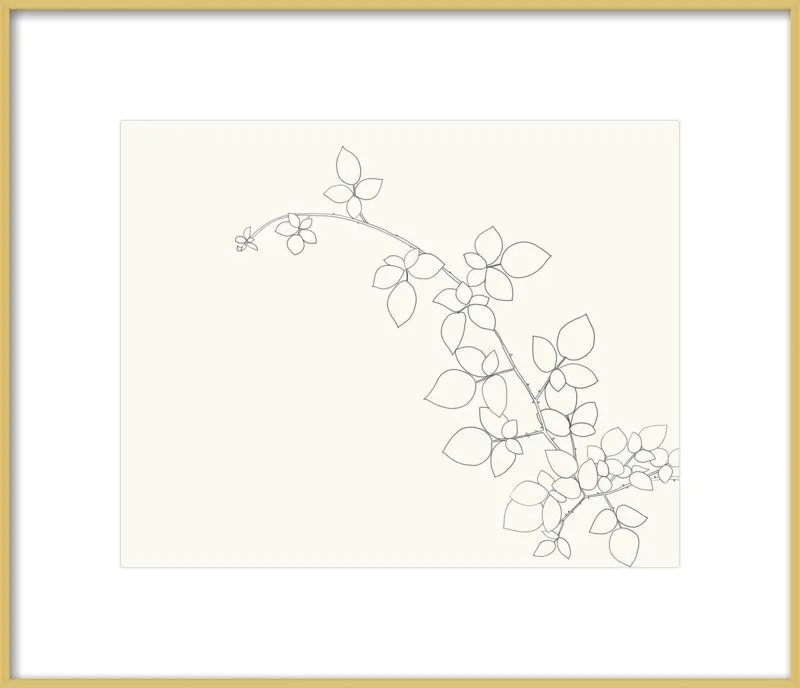 Blackberry  by Jorey Hurley for Artfully Walls