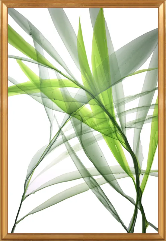Tropical Study no. 3 by Marina Dunbar  for Artfully Walls