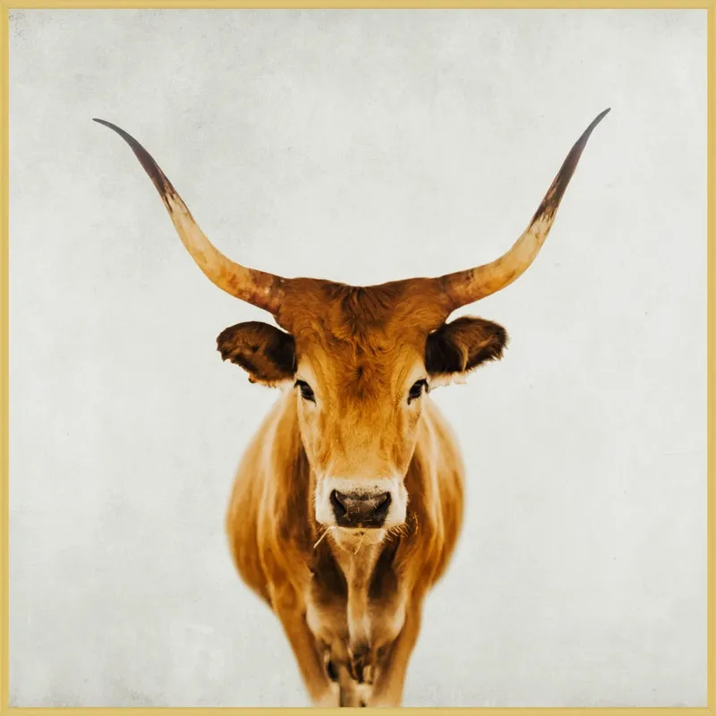 Honey by Ingrid Beddoes for Artfully Walls