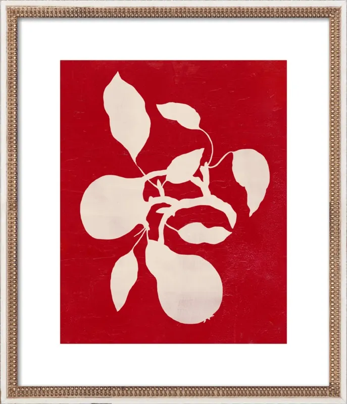 pears by Ruti Shaashua for Artfully Walls