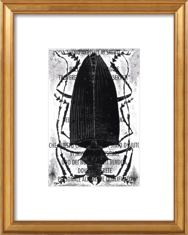 Black Beetle on Words by Tennopent Sooster for Artfully Walls