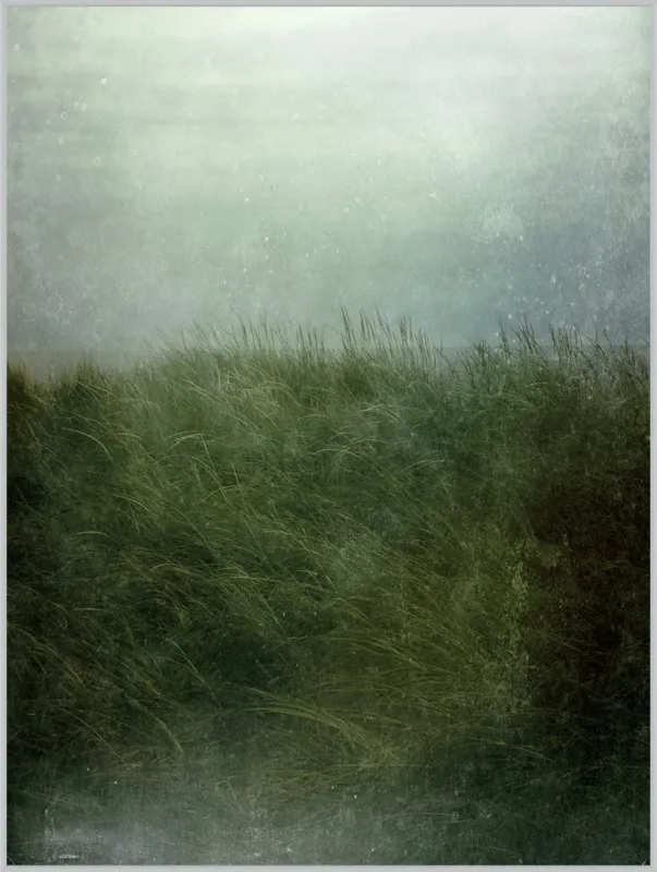 Twilight Beach by Olivia Joy StClaire for Artfully Walls