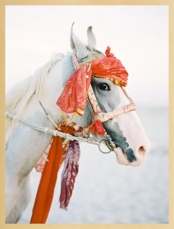 Marwari by Andrew Jacona for Artfully Walls