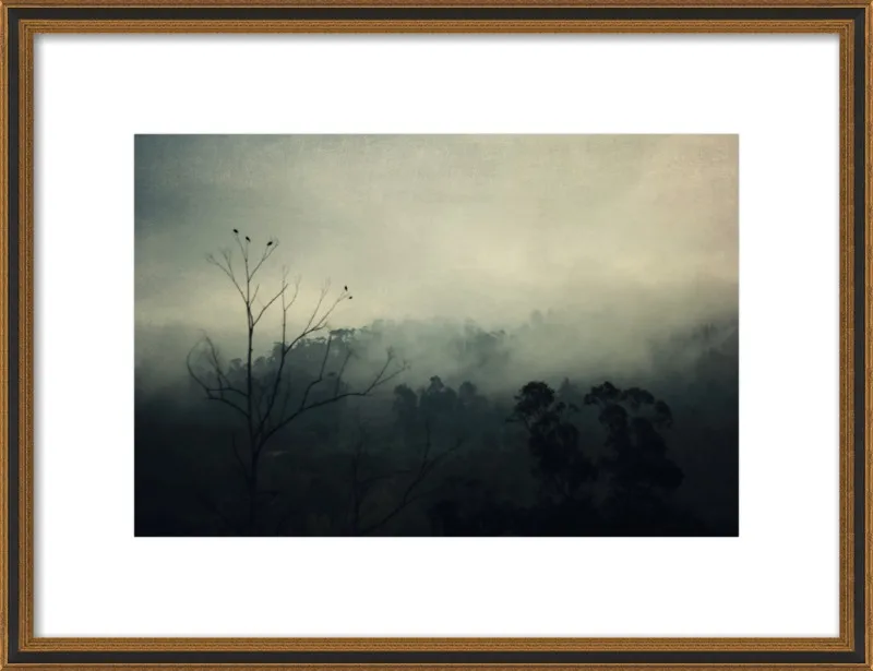 bird song by Ingrid Beddoes for Artfully Walls