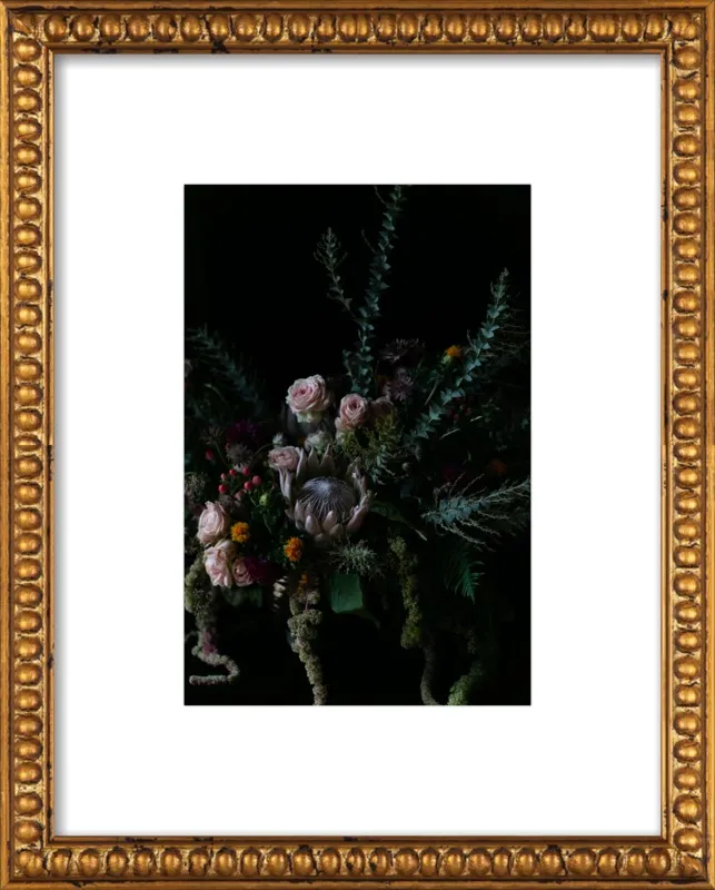 Protea Still Life  by Emilia Jane Schobeiri for Artfully Walls