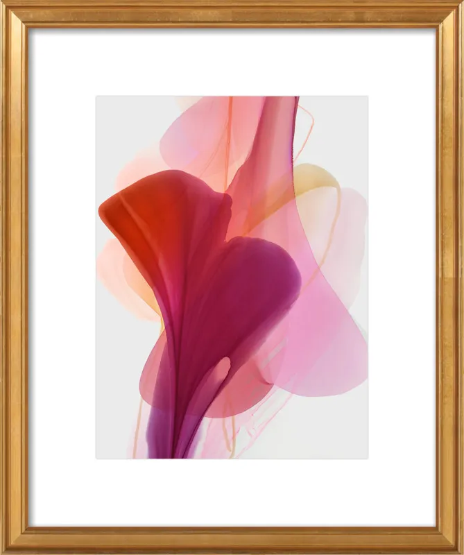 Abstract Flora Bloomlands 33 by Marta Spendowska for Artfully Walls