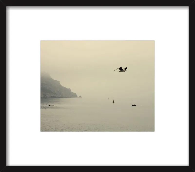 one day I will fly away by Ingrid Beddoes for Artfully Walls