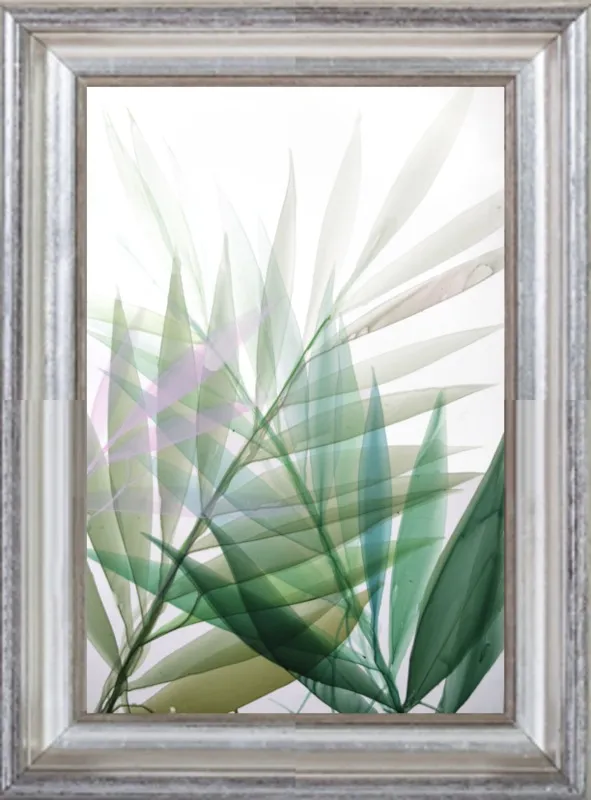 Tropical Study no. 8 by Marina Dunbar  for Artfully Walls